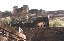Historie ranthambhorské pevnosti, tyčící se nad přírodní rezervací, sahá až do 10 století.